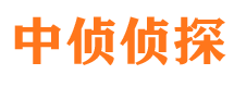 凤翔市场调查